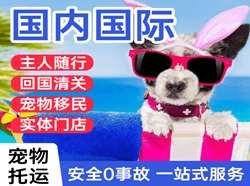 天吉泰航空托运国际宠物托运 【国